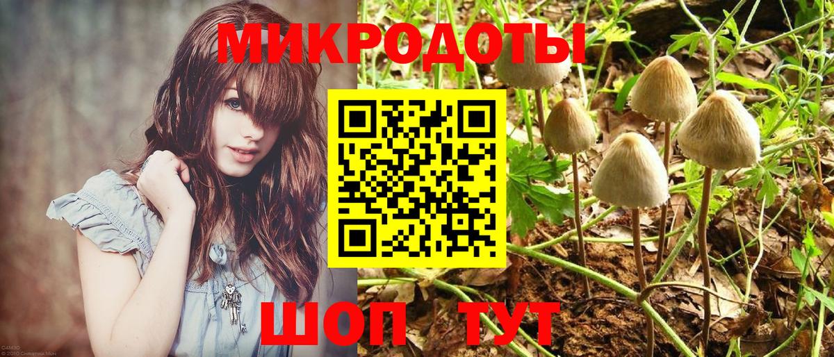 Псилоцибиновые грибы прущие грибы Тулун