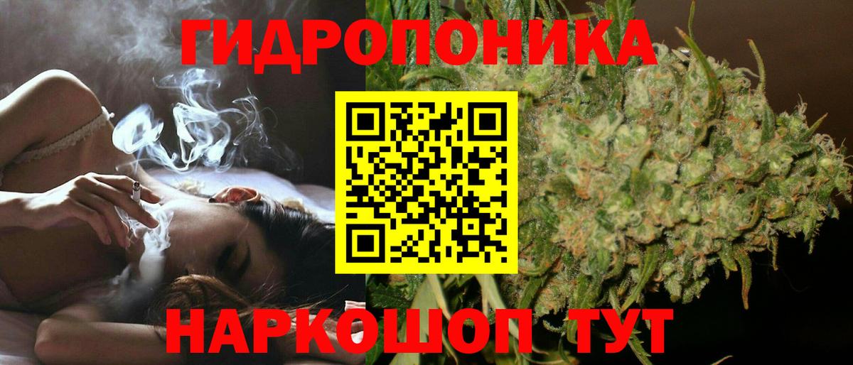 Бошки марихуана конопля Тулун