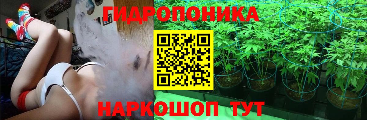  COCAIN Тулун